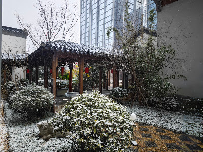 【旅遊散記】南京蘇州自由行 |  蘇州初雪、蘇州博物館、拙政園、平江路、觀前街