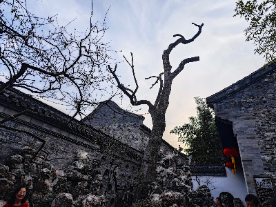 【旅遊散記】上海揚州自由行 | 下揚州，个園、東關街（上）