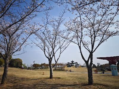 【旅遊散記】上海揚州自由行｜揚州三灣風景區、大運河博物館（上）
